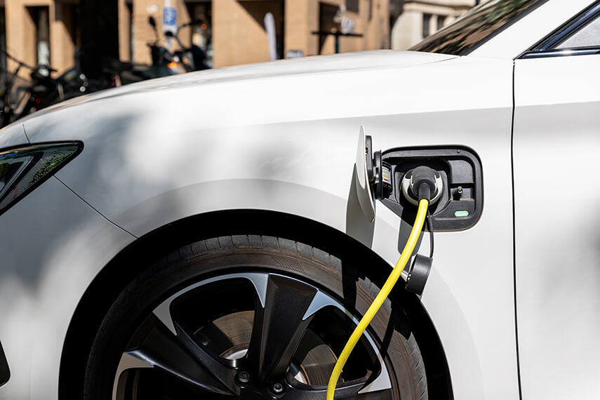 Domestic EV Chargers